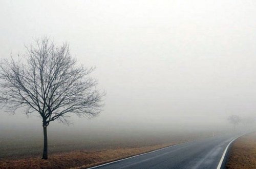 Duman olacaq, külək əsəcək - SABAHIN HAVASI