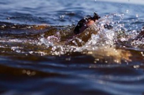 Beş gün əvvəl çayda boğulan uşağın meyiti tapıldı