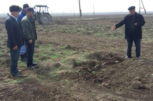 Əkin sahəsində raket mərmisinin partladıcısı tapıldı - FOTOLAR