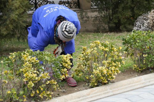 Süpürgəçi işlədiyini ailəsindən gizlədən qadın: 