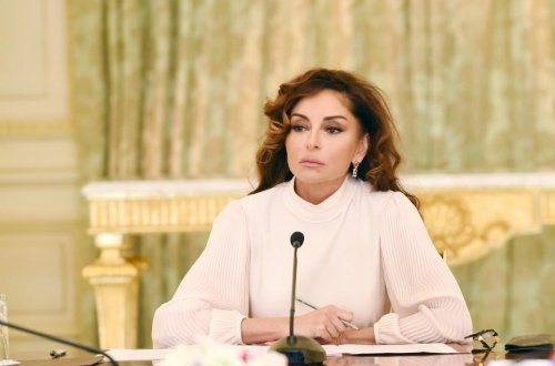 Azərbaycanın Birinci vitse-prezidenti Mehriban Əliyevanın sədrliyi ilə müşavirə keçirilib