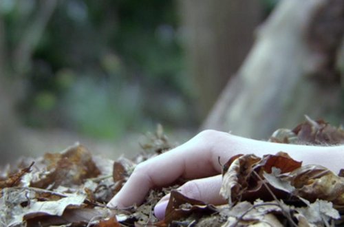 8 Martda Gülnarı çayda 