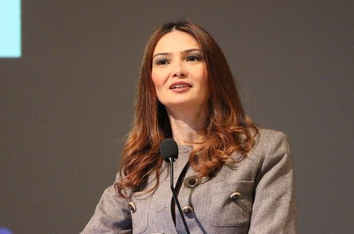 Millət vəkili Tovuzun problemlərindən danışıb və müvafiq qurumları onların həllinə çağırıb