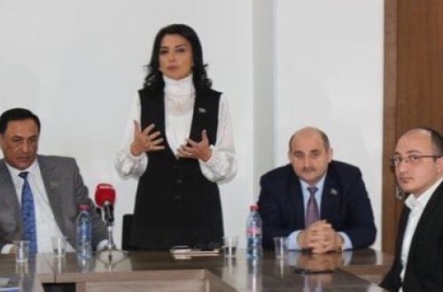 Millət vəkilləri məişət zorakılığından danışdılar - Fotolar