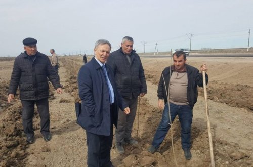 Əflatun Amaşov Saatlıda sakinlərlə silsilə görüşlər keçirib – FOTOLAR