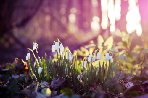 Sabahın HAVASI: yağış, qar...