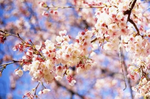 Sabah hava belə olacaq