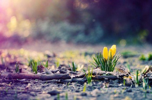 Bayramın son günü HAVA NECƏ OLACAQ?