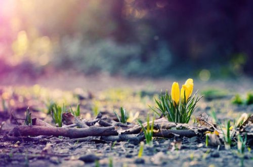 Sabah hava necə olacaq? - Proqnoz