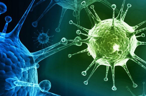 Ölkədə ölüm virusu dolaşır?- Rəsmi məqamlar  “Bunu heç kim bilə bilməz” deyir