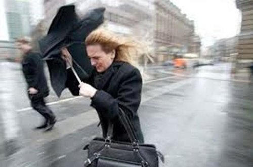 Belə güclü külək 8-10 ildə bir dəfə olur - AMEA