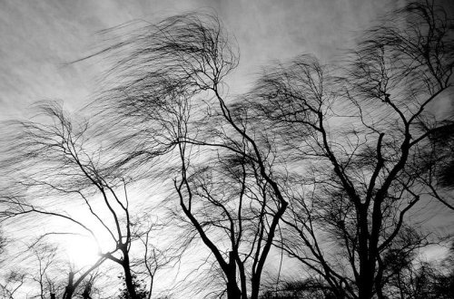 Azərbaycanda ən güclü külək nə zaman olub?