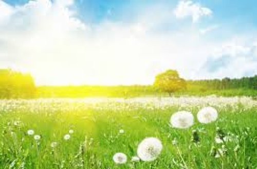 Aprel ayının HAVA PROQNOZU - 30 dərəcə isti