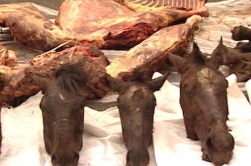 Kürdəmirdə at əti aşkarlandı - 150 kiloqram