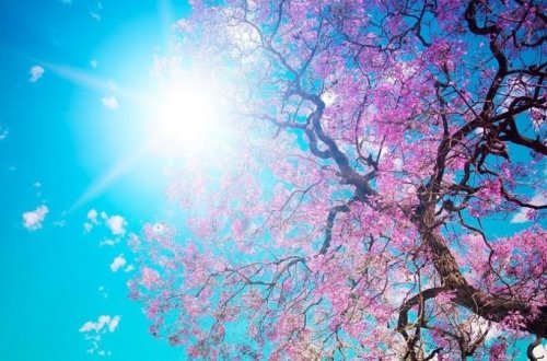 Bakıda 15, rayonlarda 20 dərəcə isti olacaq