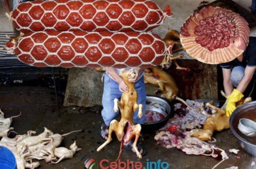 50 qəpiyə satılan it ətindən hazırlanan kolbasa – Azərbaycanda 