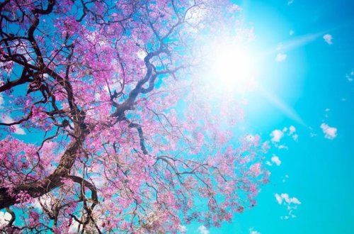 Sabah 21 dərəcə isti olacaq