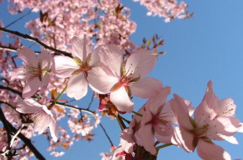 Sabah 18 dərəcə isti olacaq - PROQNOZ