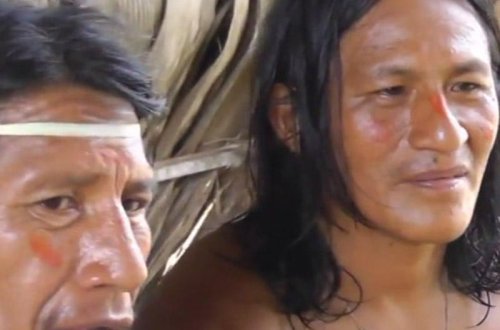 Onlar meymun yeyir, insanları öldürür, texnologiyadan istifadə etmirlər - ŞOK FAKTLAR - VİDEO 