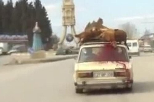 Azərbaycanda görünməmiş vəhşilik - Maşının üzərində qanı fışqırdı - VİDEO