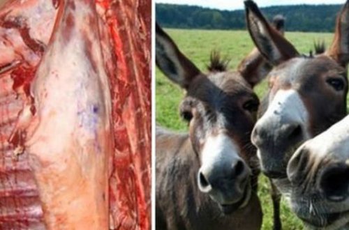 Ölmüş at, it, eşşək ətlərindən kolbasa düzəldənlər tutuldu