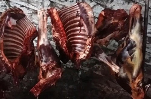 Azərbaycanda at- eşşək əti hara və necə basdırılır? - “Ət sahibi yerı qazır, əti daşıyır, üzərinə...” 