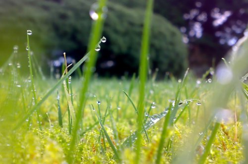 İstirahət gününün havası