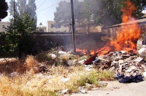 Zibili qanunsuz yandırmaq olmaz - Yandıranlar böyük məbləğdə cərimə olundu