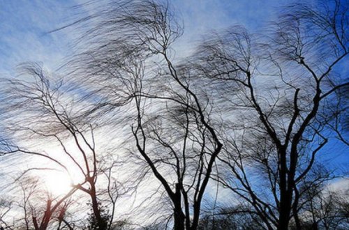 Sabah Bakıda güclü külək əsəcək – XƏBƏRDARLIQ