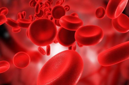 Körpələrin göbəkbağından alınan qan yaşlı siçanları cavanlaşdırıb - İNANILMAZ KƏŞF