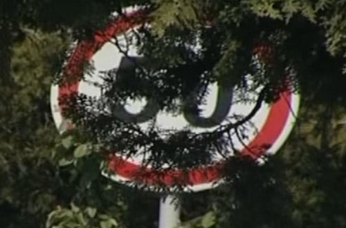 Gözəgörünməz yol nişanları - 