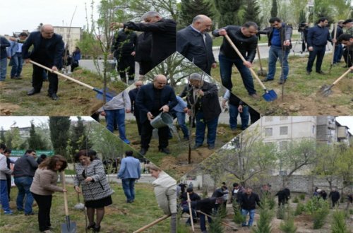 NƏSİMİ RAYONUNDA “MƏKTƏB BAĞLARI”LAYİHƏSİ ÇƏRÇİVƏSİNDƏ NÖVBƏTİ İMƏCLİK KEÇİRİLDİ