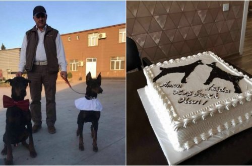 İtinə toy edən azərbaycanlı biznesmenin `acından ölən` bacısı - VİDEO