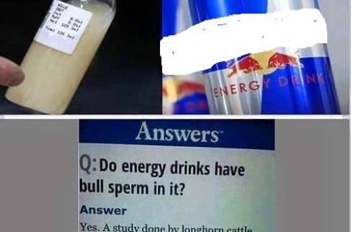 Enerji verən içkilərin öküz sidiyi və spermasından hazırlandığı sübut edildi - VİDEO