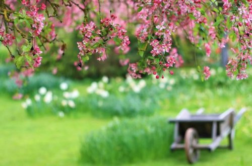 Bugün əsl yaz havası olacaq - PROQNOZ