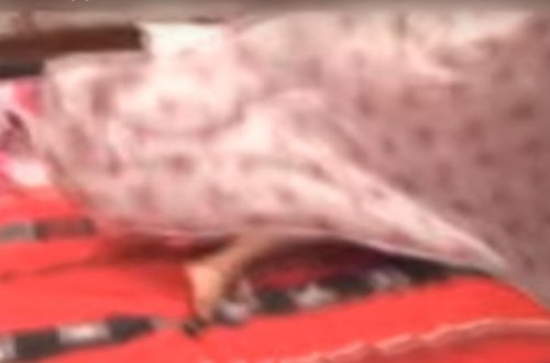 Polis gənclərin intim görüntüləri ilə bağlı araşdırmalara başladı - VİDEO