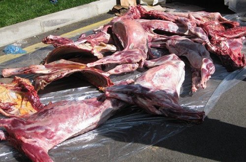 At leşi və murdar olmuş inəyin əti… – “ELBA” MMC əhaliyə bunları yedirir