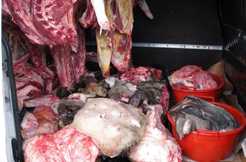 Baytar həkimlər xəstə ətlərə də möhür vurur? - Rəsmi açıqlama