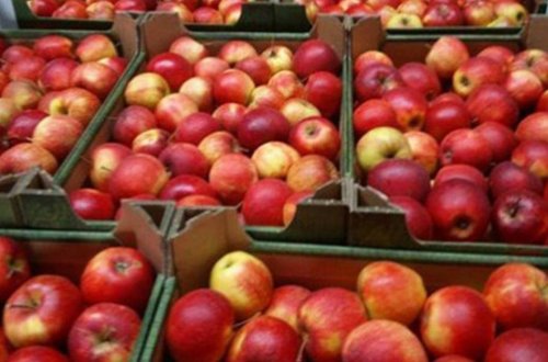 Ermənistan bazarında Azərbaycan alması: Rəsmilərin əli var- AÇIQLAMA 