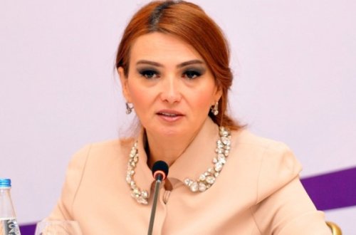 Qənirə Paşayeva Milli Məclisdə Avropa Şurasının Türkiyə ilə bağlı qərarına etiraz edib