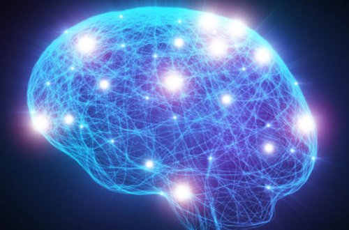 Ölümə qərar verən ORQAN TAPILDI: beynimiz yaşlıdırsa, deməli... – SENSASİYALI ARAŞDIRMA