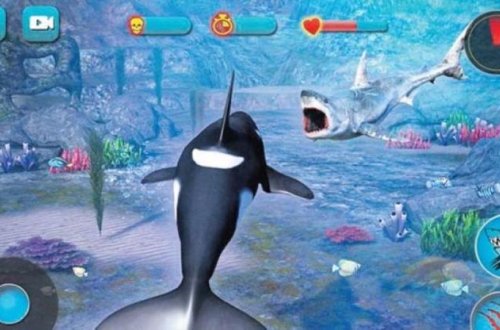 İnternetdə sonu ÖLÜMƏ SƏBƏB OLAN OYUN: 150 gənc bu yolla həyatını itirdi