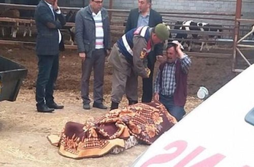 Gənc oğlan yemdoğrayan maşına düşdü - Atasının gözləri önündə can verdi