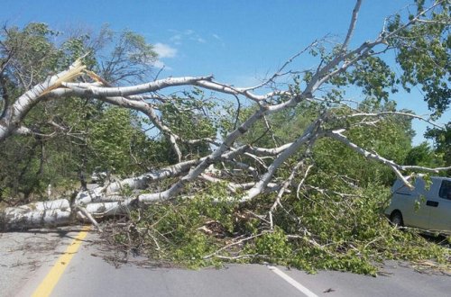 Bakı-Şamaxı-Yevlax magistralı bağlandı — FOTOLAR