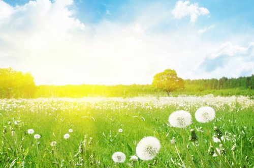 Sabahın HAVA PROQNOZU açıqlandı