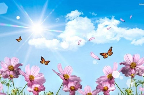 Sabah 25 dərəcə isti olacaq