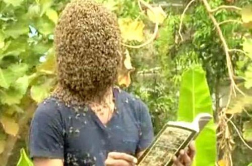 Başını 60 min arı örtdü - VİDEO