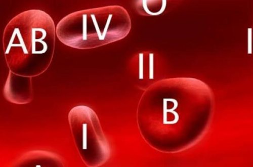 Qan qruplarının YARANMA TARİXİ: kimin dədə-babası yırtıcı, kiminki ƏKİNÇİ OLUB?