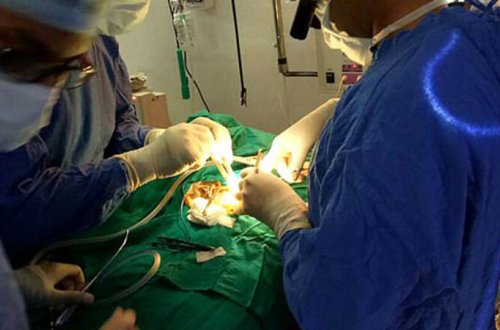 450 qram çəki ilə doğulan uşaq ürək əməliyyatı keçirdi - FOTOLAR