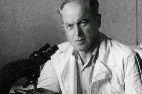 Qarabağda qəbirləri eşən kəşfiyyatçılar və Azərbaycana taun yaymaq istəyən həkim-FOTO